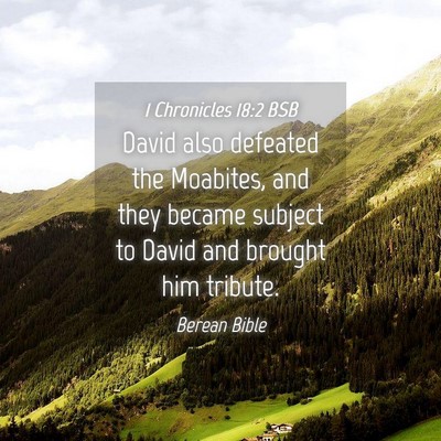 Picture 04 - 1 Chronicles 18:2 BSB - David also defeated the Moabites, and they became - Bible Verse Picture