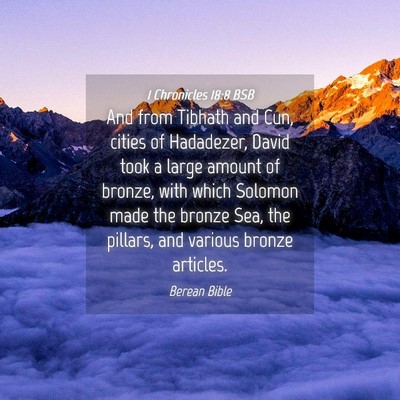 Picture 04 - 1 Chronicles 18:8 BSB - And from Tibhath and Cun, cities of Hadadezer, - Bible Verse Picture