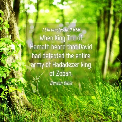 Picture 04 - 1 Chronicles 18:9 BSB - When King Tou of Hamath heard that David had - Bible Verse Picture