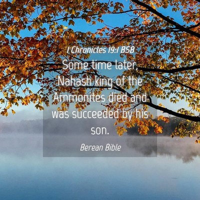 Picture 04 - 1 Chronicles 19:1 BSB - Some time later, Nahash king of the Ammonites - Bible Verse Picture