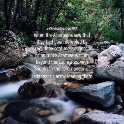 Picture 04 - 1 Chronicles 19:16 BSB - When the Arameans saw that they had been defeated - Bible Verse Picture