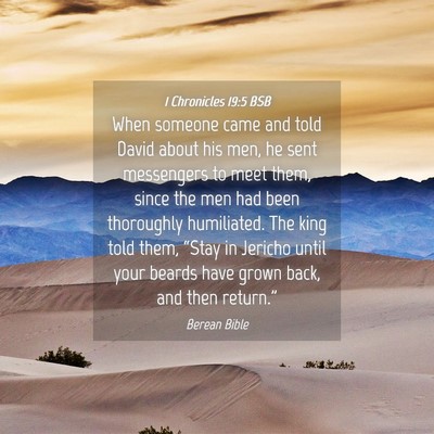 Picture 04 - 1 Chronicles 19:5 BSB - When someone came and told David about his men, - Bible Verse Picture