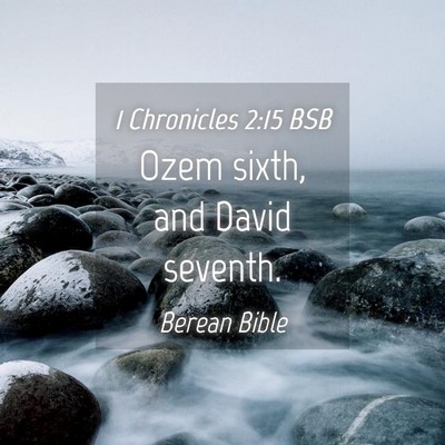 Picture 04 - 1 Chronicles 2:15 BSB - Ozem sixth, and David - Bible Verse Picture