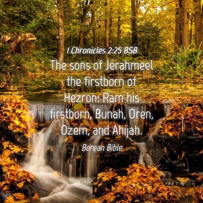 Picture 04 - 1 Chronicles 2:25 BSB - The sons of Jerahmeel the firstborn of Hezron: - Bible Verse Picture