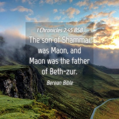 Picture 04 - 1 Chronicles 2:45 BSB - The son of Shammai was Maon, and Maon was the - Bible Verse Picture