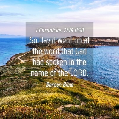 Picture 04 - 1 Chronicles 21:19 BSB - So David went up at the word that Gad had spoken - Bible Verse Picture