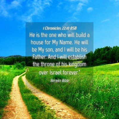 Picture 04 - 1 Chronicles 22:10 BSB - He is the one who will build a house for My Name. - Bible Verse Picture