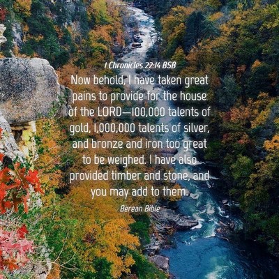 Picture 04 - 1 Chronicles 22:14 BSB - Now behold, I have taken great pains to provide - Bible Verse Picture