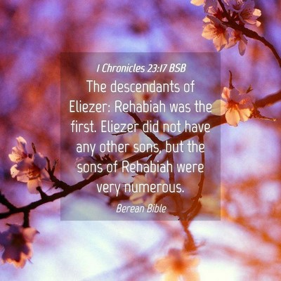 Picture 04 - 1 Chronicles 23:17 BSB - The descendants of Eliezer: Rehabiah was the - Bible Verse Picture