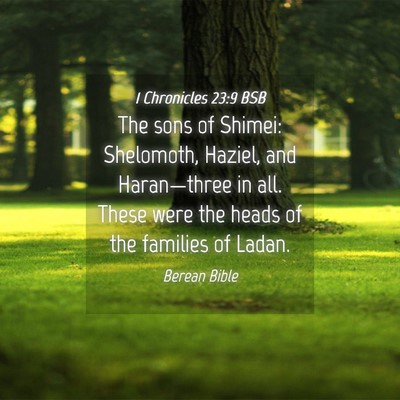 Picture 04 - 1 Chronicles 23:9 BSB - The sons of Shimei: Shelomoth, Haziel, and - Bible Verse Picture