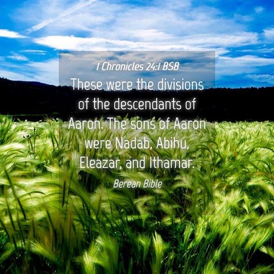 Picture 04 - 1 Chronicles 24:1 BSB - These were the divisions of the descendants of - Bible Verse Picture