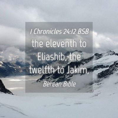 Picture 04 - 1 Chronicles 24:12 BSB - the eleventh to Eliashib, the twelfth to - Bible Verse Picture