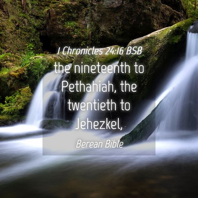 Picture 04 - 1 Chronicles 24:16 BSB - the nineteenth to Pethahiah, the twentieth to - Bible Verse Picture
