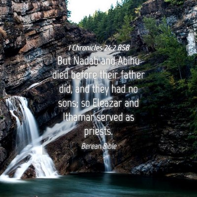 Picture 04 - 1 Chronicles 24:2 BSB - But Nadab and Abihu died before their father did, - Bible Verse Picture
