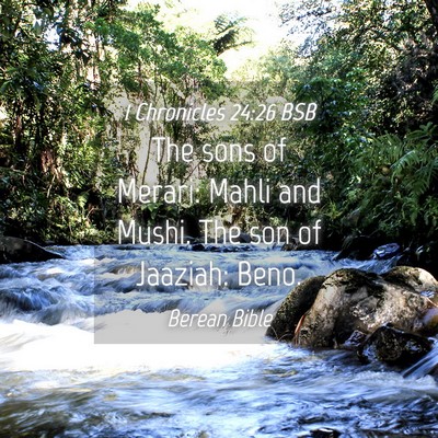 Picture 04 - 1 Chronicles 24:26 BSB - The sons of Merari: Mahli and Mushi. The son of - Bible Verse Picture