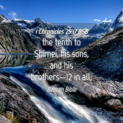 Picture 04 - 1 Chronicles 25:17 BSB - the tenth to Shimei, his sons, and his - Bible Verse Picture