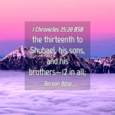 Picture 04 - 1 Chronicles 25:20 BSB - the thirteenth to Shubael, his sons, and his - Bible Verse Picture