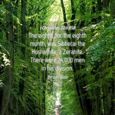 Picture 04 - 1 Chronicles 27:11 BSB - The eighth, for the eighth month, was Sibbecai - Bible Verse Picture