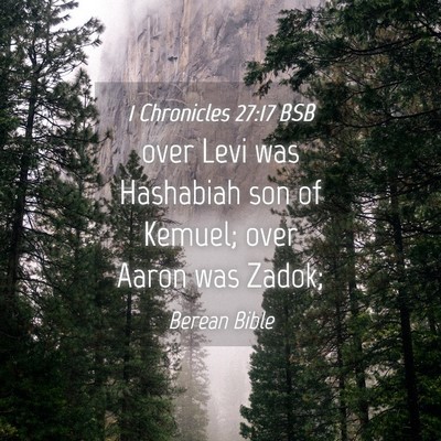 Picture 04 - 1 Chronicles 27:17 BSB - over Levi was Hashabiah son of Kemuel; over Aaron - Bible Verse Picture