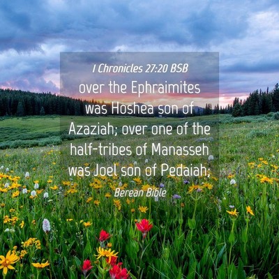 Picture 04 - 1 Chronicles 27:20 BSB - over the Ephraimites was Hoshea son of Azaziah; - Bible Verse Picture