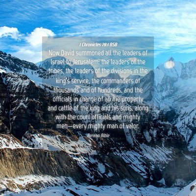 Picture 04 - 1 Chronicles 28:1 BSB - Now David summoned all the leaders of Israel to - Bible Verse Picture