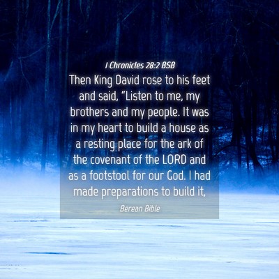 Picture 04 - 1 Chronicles 28:2 BSB - Then King David rose to his feet and said, - Bible Verse Picture