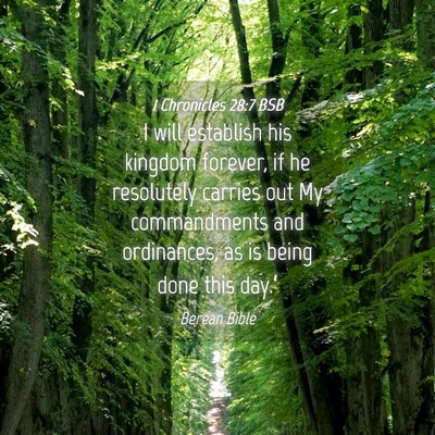 Picture 04 - 1 Chronicles 28:7 BSB - I will establish his kingdom forever, if he - Bible Verse Picture