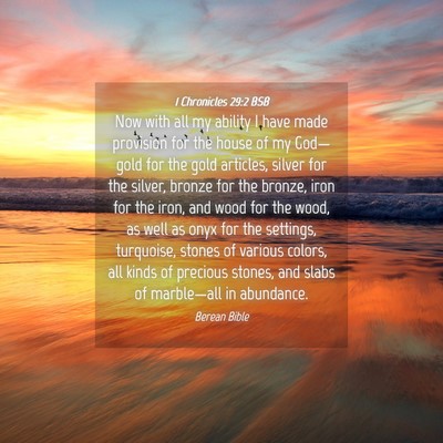 Picture 04 - 1 Chronicles 29:2 BSB - Now with all my ability I have made provision for - Bible Verse Picture