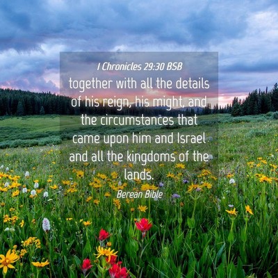 Picture 04 - 1 Chronicles 29:30 BSB - together with all the details of his reign, his - Bible Verse Picture