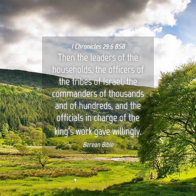 Picture 04 - 1 Chronicles 29:6 BSB - Then the leaders of the households, the officers - Bible Verse Picture