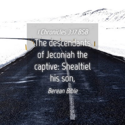 Picture 04 - 1 Chronicles 3:17 BSB - The descendants of Jeconiah the captive: - Bible Verse Picture
