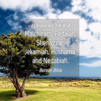 Picture 04 - 1 Chronicles 3:18 BSB - Malchiram, Pedaiah, Shenazzar, Jekamiah, Hoshama, - Bible Verse Picture