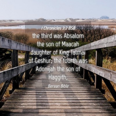 Picture 04 - 1 Chronicles 3:2 BSB - the third was Absalom the son of Maacah daughter - Bible Verse Picture