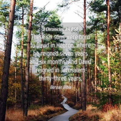 Picture 04 - 1 Chronicles 3:4 BSB - These six sons were born to David in Hebron, - Bible Verse Picture