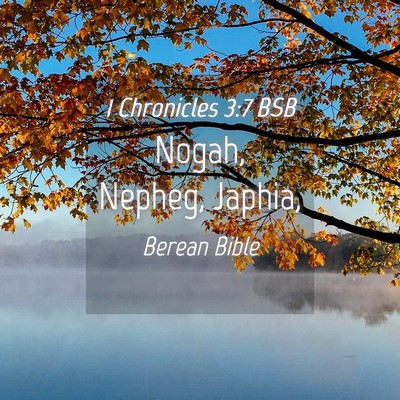 Picture 04 - 1 Chronicles 3:7 BSB - Nogah, Nepheg, - Bible Verse Picture