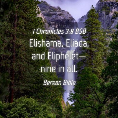 Picture 04 - 1 Chronicles 3:8 BSB - Elishama, Eliada, and Eliphelet—nine in - Bible Verse Picture