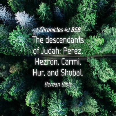 Picture 04 - 1 Chronicles 4:1 BSB - The descendants of Judah: Perez, Hezron, Carmi, - Bible Verse Picture