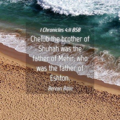 Picture 04 - 1 Chronicles 4:11 BSB - Chelub the brother of Shuhah was the father of - Bible Verse Picture