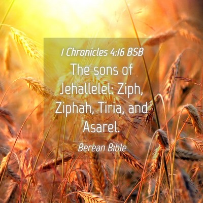 Picture 04 - 1 Chronicles 4:16 BSB - The sons of Jehallelel: Ziph, Ziphah, Tiria, and - Bible Verse Picture