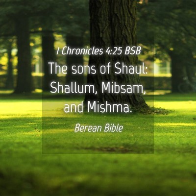 Picture 04 - 1 Chronicles 4:25 BSB - The sons of Shaul: Shallum, Mibsam, and - Bible Verse Picture