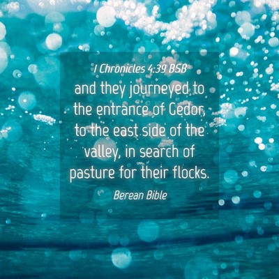 Picture 04 - 1 Chronicles 4:39 BSB - and they journeyed to the entrance of Gedor, to - Bible Verse Picture