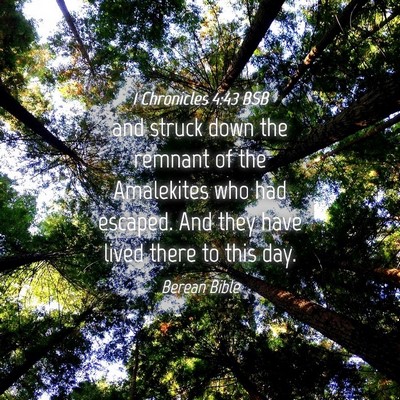 Picture 04 - 1 Chronicles 4:43 BSB - and struck down the remnant of the Amalekites who - Bible Verse Picture