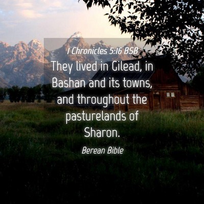Picture 04 - 1 Chronicles 5:16 BSB - They lived in Gilead, in Bashan and its towns, - Bible Verse Picture