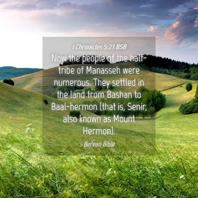 Picture 04 - 1 Chronicles 5:23 BSB - Now the people of the half-tribe of Manasseh were - Bible Verse Picture