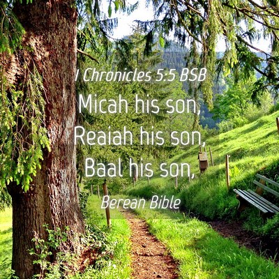 Picture 04 - 1 Chronicles 5:5 BSB - Micah his son, Reaiah his son, Baal his - Bible Verse Picture