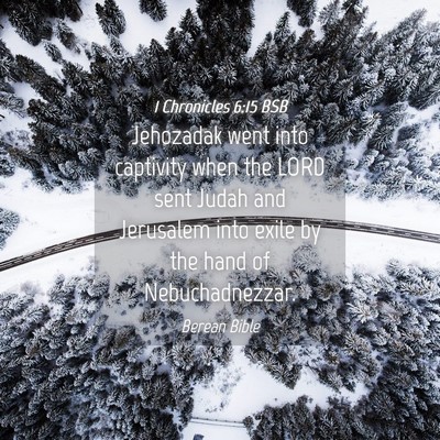 Picture 04 - 1 Chronicles 6:15 BSB - Jehozadak went into captivity when the LORD sent - Bible Verse Picture