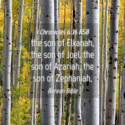 Picture 04 - 1 Chronicles 6:36 BSB - the son of Elkanah, the son of Joel, the son of - Bible Verse Picture