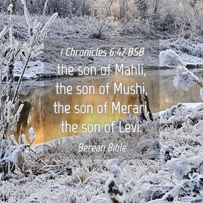Picture 04 - 1 Chronicles 6:47 BSB - the son of Mahli, the son of Mushi, the son of - Bible Verse Picture