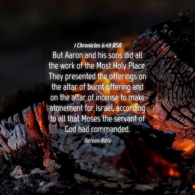 Picture 04 - 1 Chronicles 6:49 BSB - But Aaron and his sons did all the work of the - Bible Verse Picture