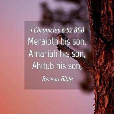 Picture 04 - 1 Chronicles 6:52 BSB - Meraioth his son, Amariah his son, Ahitub his - Bible Verse Picture